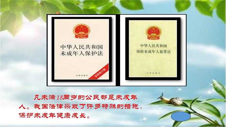 部编版七年级道德与法治下册--10.1法律为我们护航(课件1)04