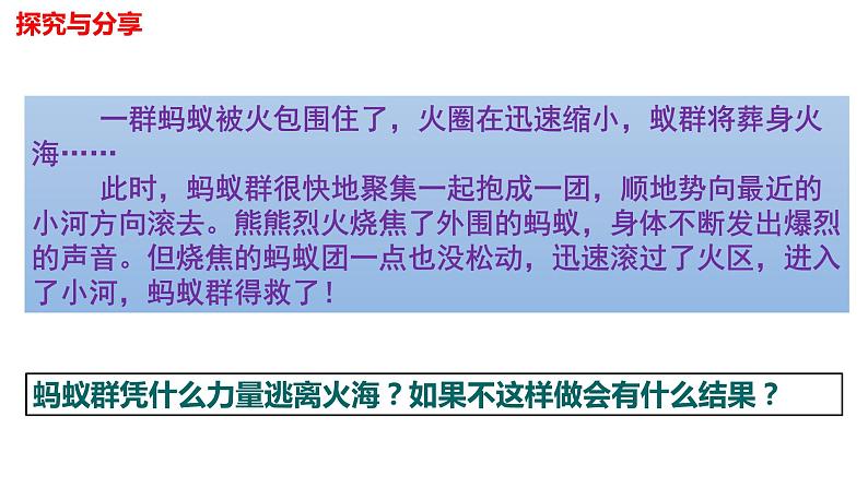 8.1 憧憬美好集体(含视频)-【轻松备课】2022-2023学年七年级道德与法治下册高效课堂示范课件(部编版)第6页
