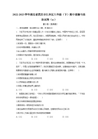 2022-2023学年湖北省武汉市江岸区八年级（下）期中道德与法治试卷（含解析）