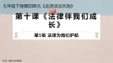 10.1《法律爲我們護航》教学課件