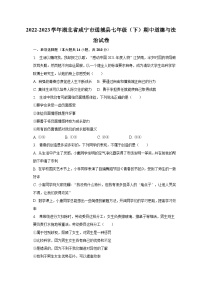 2022-2023学年湖北省咸宁市通城县七年级（下）期中道德与法治试卷（含解析）