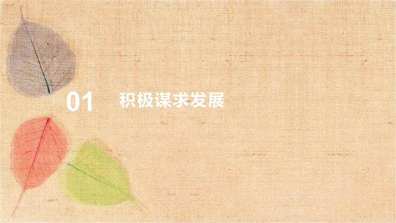 部编版道德与法治九年级下册 4.2携手促发展 课件第5页