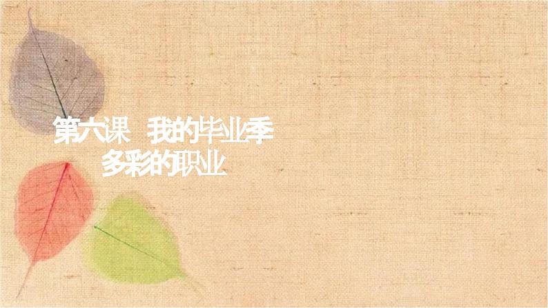 部编版道德与法治九年级下册 6.2多彩的职业 课件第2页