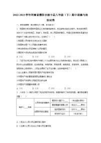 2022-2023学年河南省濮阳市清丰县八年级（下）期中道德与法治试卷（含解析）