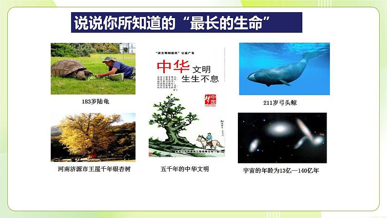 人教部编版道德与法治七年级上册 8.1 生命可以永恒吗 ppt课件第2页
