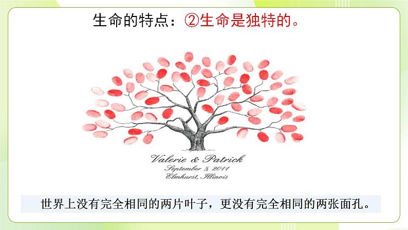 人教部编版道德与法治七年级上册 8.1 生命可以永恒吗 ppt课件第8页