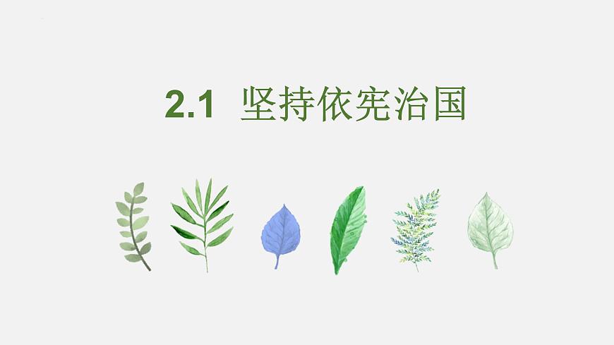 2.1 堅(jiān)持依憲治國(guó)第1頁(yè)