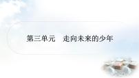 中考道德與法治復(fù)習(xí)九年級(jí)下冊(cè)3第三單元走向未來的少年課件