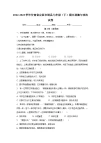 甘肃省定西市岷县2022-2023学年七年级下学期期末道德与法治试题(含答案)