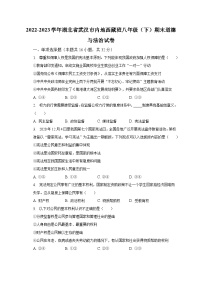 2022-2023学年湖北省武汉市内地西藏班八年级（下）期末道德与法治试卷（含解析）