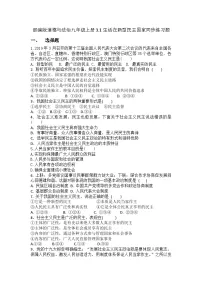 人教部编版 (五四制)九年级上册第二单元 民主与法治第三课 追求民主价值生活在新型民主国家一课一练