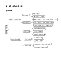 初中政治 (道德与法治)人教部编版七年级上册第四单元  生命的思考第十课 绽放生命之花感受生命的意义精品同步训练题