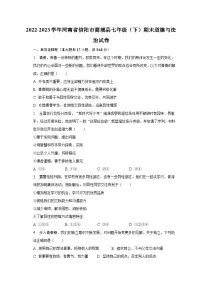 河南省信阳市商城县2022-2023学年七年级下学期期末道德与法治试卷