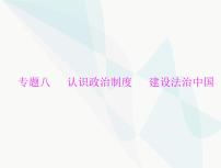 中考道德與法治總復(fù)習(xí)專題八認(rèn)識(shí)政治制度建設(shè)法治中國課件