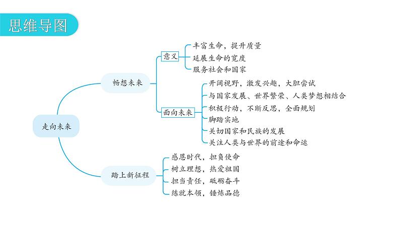 人教版道德与法治九年级下册第三单元第七课第二课时走向未来教学课件04