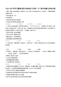 2022-2023学年安徽省阜阳市临泉县七年级（下）期末道德与法治试卷(含答案解析)