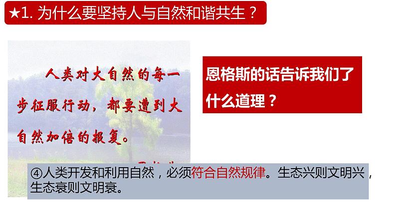 6.2共筑生命家园课件08
