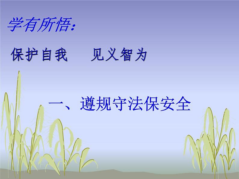 黄丰初中方霞课件第5页