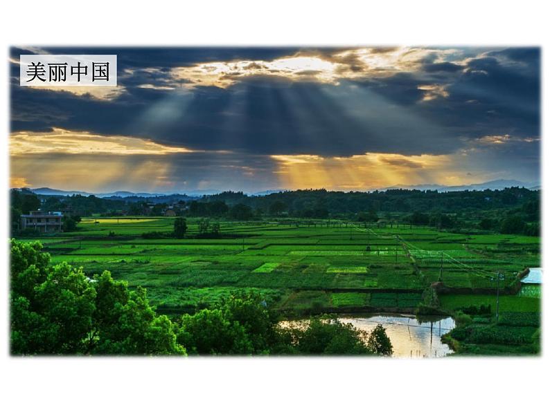 部编版八年级道德与法治上册--第十课 第2课时 天下兴亡 匹夫有责(精品课件)第4页