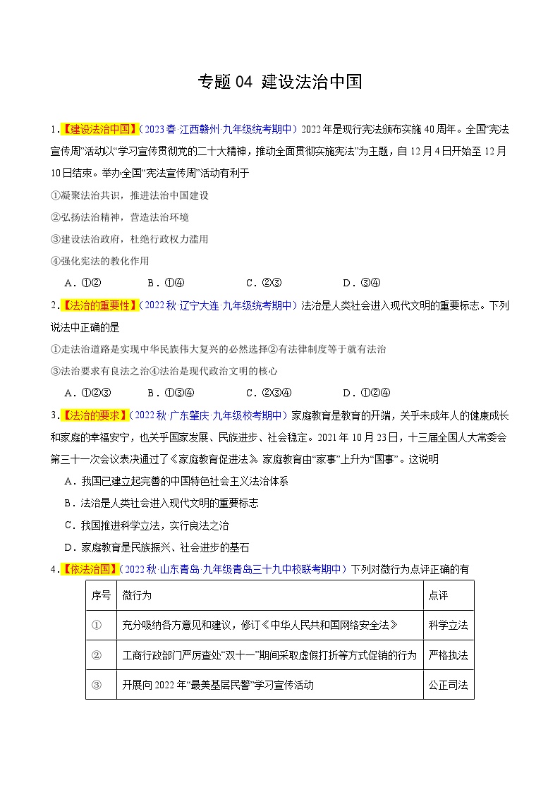 【期中真题】（部编版）2023-2024学年九年级道德与法治上册 期中真题分类专题汇编 专题04 建设法治中国-试卷.zip