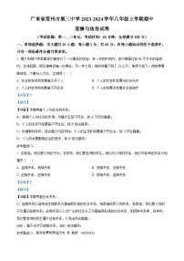 广东省雷州市第三中学2023-2024学年八年级上学期期中道德与法治试卷（解析版）