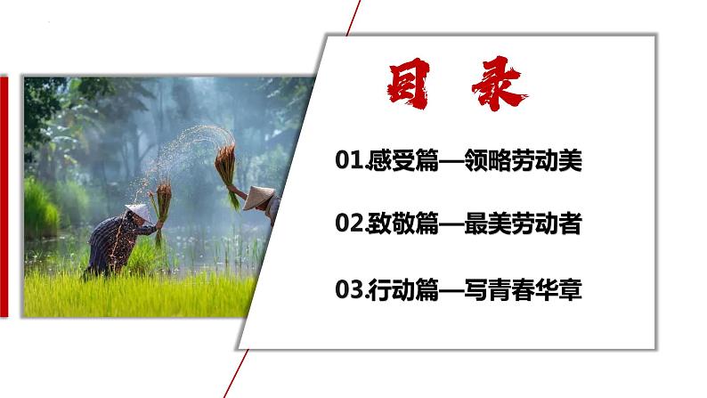 10.2 天下兴亡 匹夫有责 课件第2页