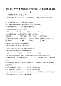 2022-2023学年广东省湛江市吴川市七年级（上）期末道德与法治试卷（含详细答案解析）