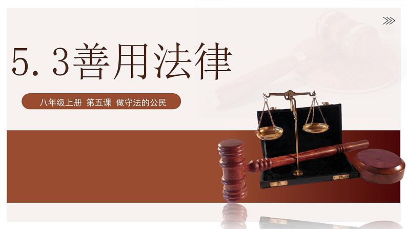 5.3善用法律课件 (2)第3页