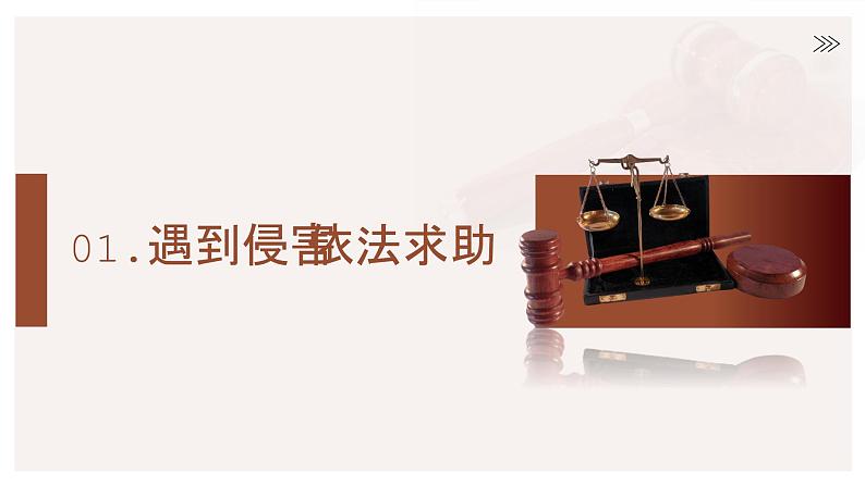 5.3善用法律课件 (2)第6页