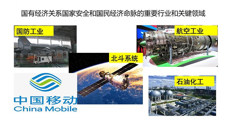 5.3基本经济制度 课件 八年级道德与法治下册 (部编版)第7页