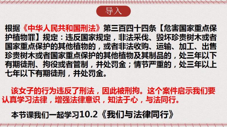 【核心素养】10.2《我们与法律同行》课件+教案+视频03