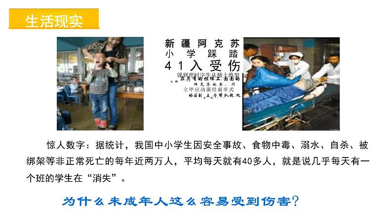 +10.1+法律为我们护航+课件统编版道德与法治七年级下册第6页