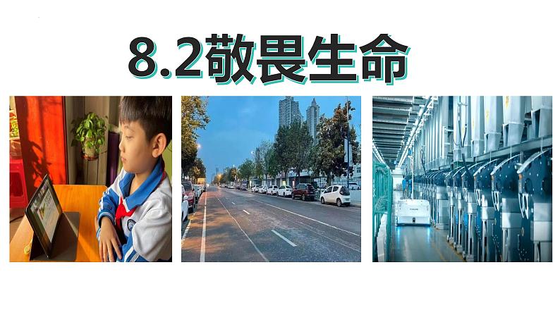 8.2+敬畏生命+课件-2023-2024学年统编版道德与法治七年级上册第1页