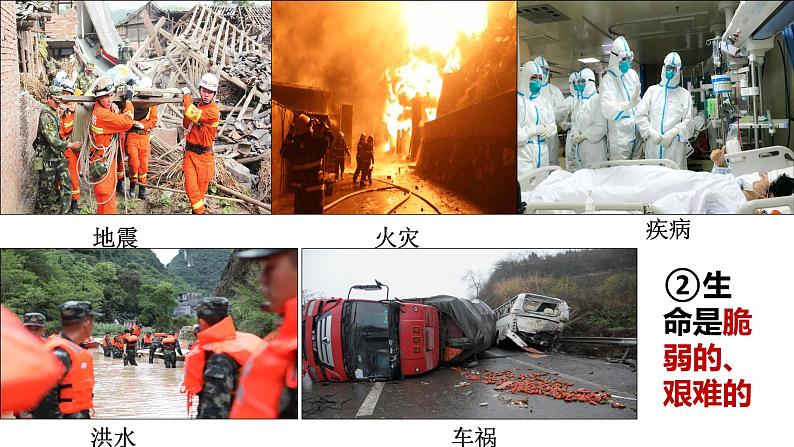 8.2+敬畏生命+课件-2023-2024学年统编版道德与法治七年级上册第7页