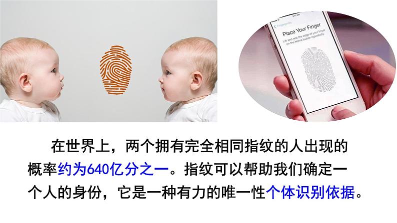 8.1+生命可以永恒吗+课件-2023-2024学年统编版道德与法治七年级上册 (5)第7页