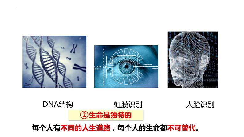 8.1+生命可以永恒吗+课件-2023-2024学年统编版道德与法治七年级上册 (5)第8页