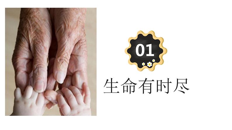 8.1+生命可以永恒吗++课件-2023-2024学年统编版道德与法治七年级上册第3页