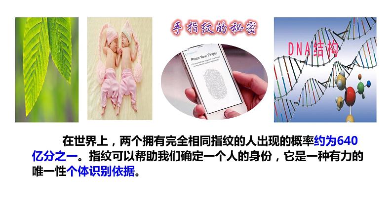 8.1+生命可以永恒吗++课件-2023-2024学年统编版道德与法治七年级上册第5页