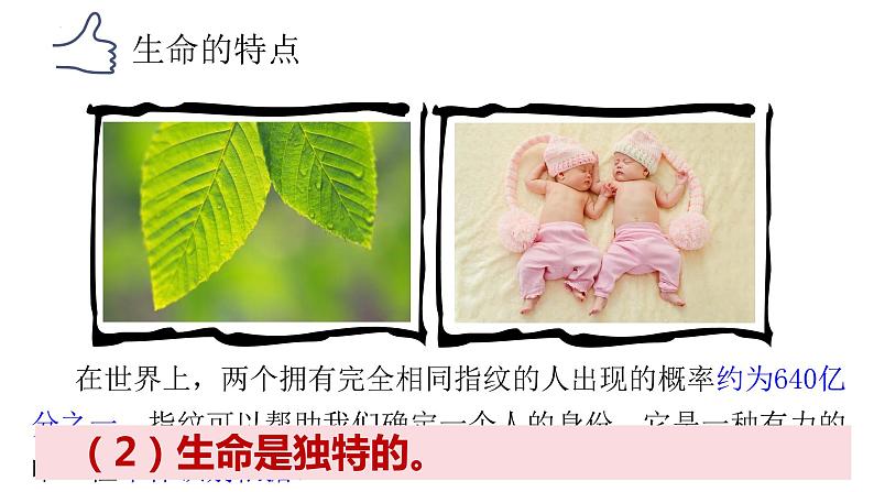 8.1+生命可以永恒吗+课件-2023-2024学年统编版道德与法治七年级上册 - 副本第4页
