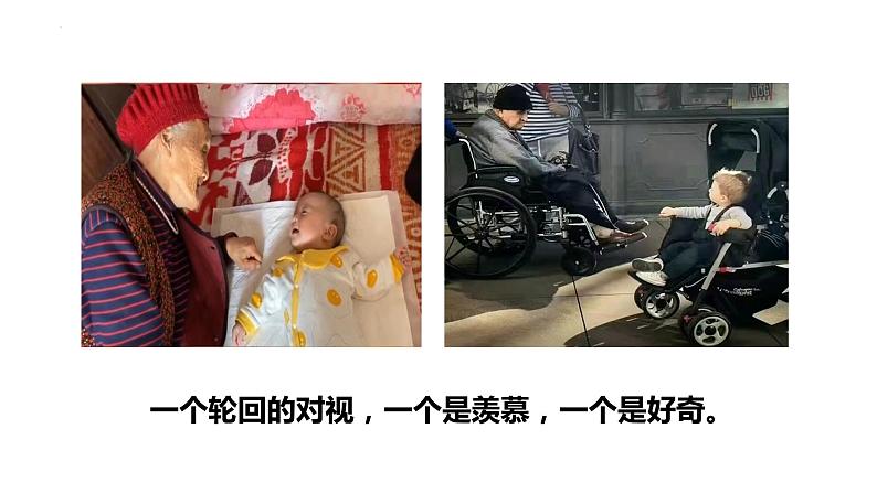 8.1+生命可以永恒吗+课件-2023-2024学年统编版道德与法治七年级上册 - 副本第5页