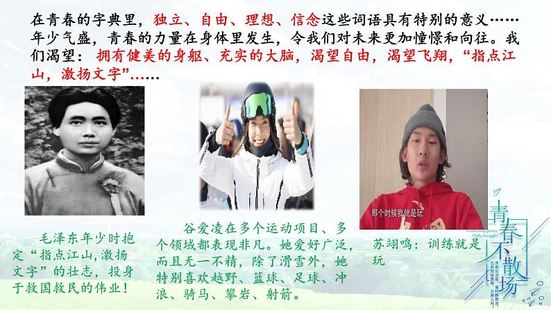 3.1 青春飞扬 课件-2023-2024学年统编版道德与法治七年级下册第5页