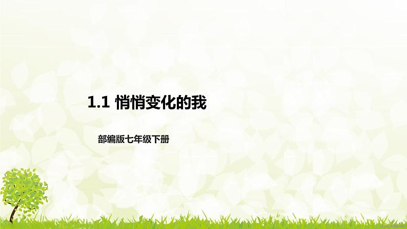 部编版七年级下册道德与法治第一单元1.1《悄悄变化的我》课件01