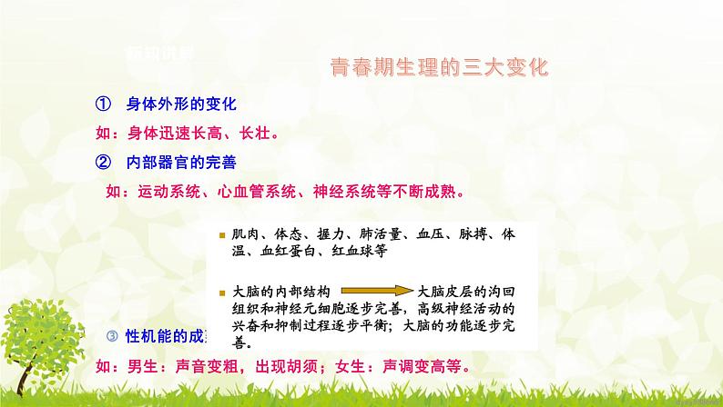 部编版七年级下册道德与法治第一单元1.1《悄悄变化的我》课件08