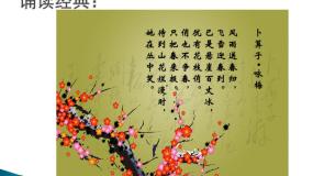 初中人教部编版 (五四制)第四单元 生命的思考第九课 珍视生命守护生命背景图ppt课件