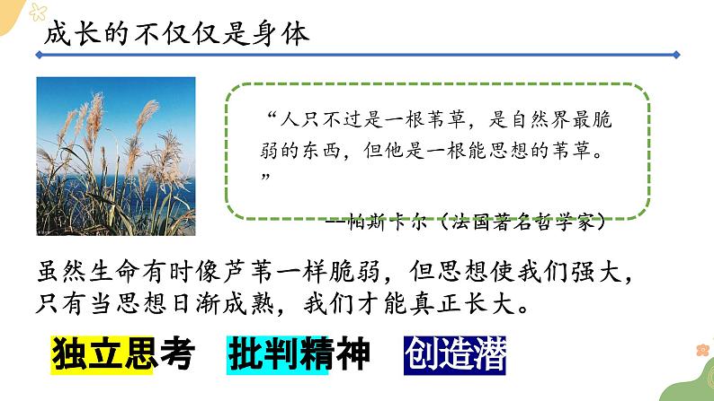 七年级下部编版道德与法治第一课第二框《悄悄变化的我》课件(含教学设计,2个视频)02