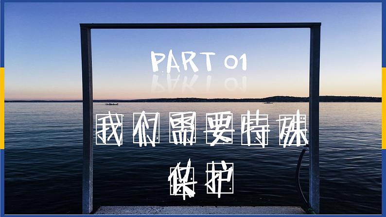 法律为我们护航 课件第3页