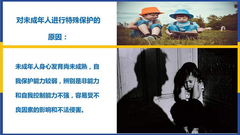 法律为我们护航 课件第7页