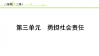 3.第三单元　勇担社会责任课件-2024年中考道德与法治一轮复习（八年级上册）