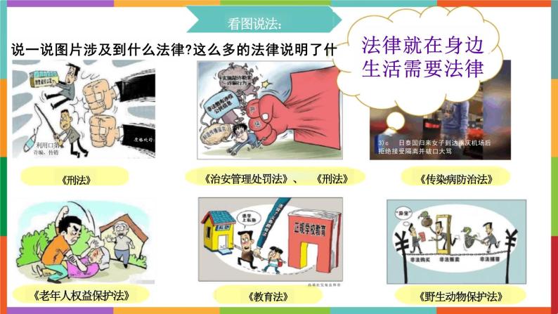 9.1+生活需要法律+课件-2023-2024学年统编版道德与法治七年级下册 (2)04