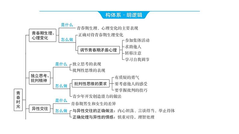 2024河南中考道德与法治一轮复习七年级下册第一单元 青春时光课件第3页